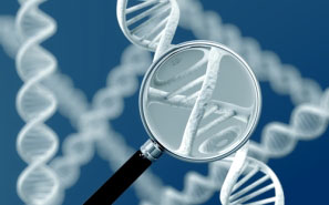 Is mandatory DNA Testing Constitutional?