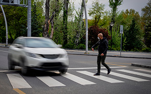 Florida's High Pedestrian Deaths Rate