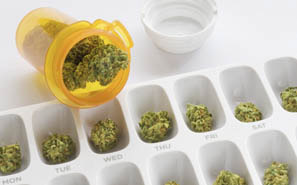 Florida Medical Marijuana: A Controversial Amendment