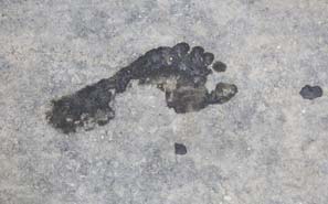 Breaking: longstanding wet foot dry foot has been revoked blog post thumbnail