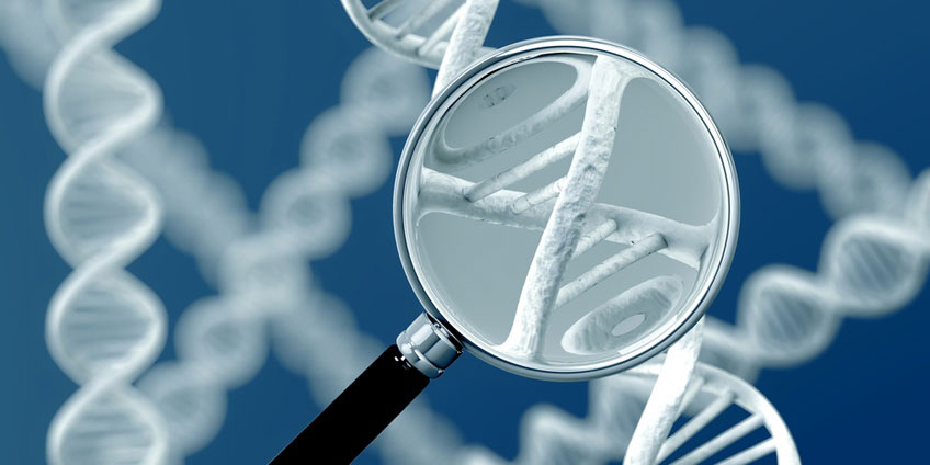Is mandatory DNA Testing Constitutional?