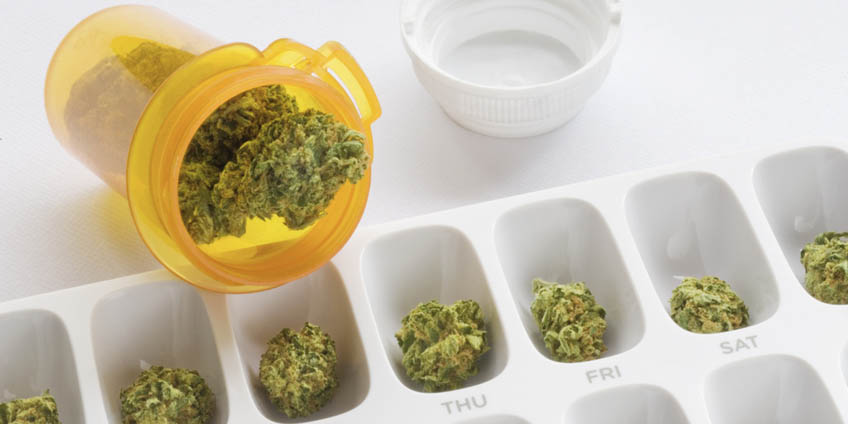 Florida Medical Marijuana: A Controversial Amendment