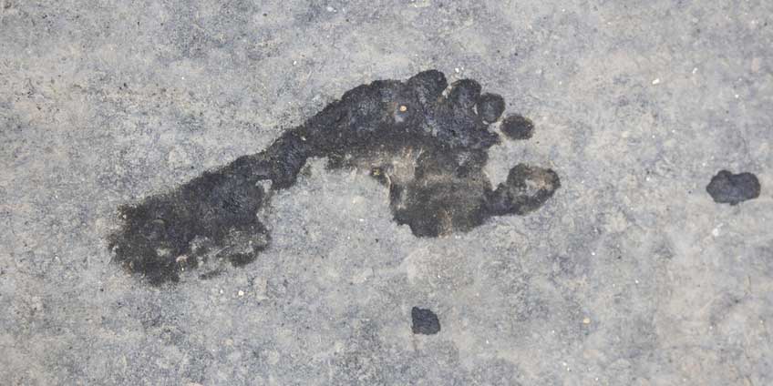 Breaking: longstanding wet foot dry foot has been revoked