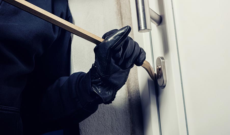 Miami Theft and Robbery